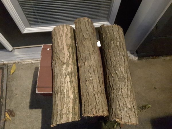 20171112_173249.jpg