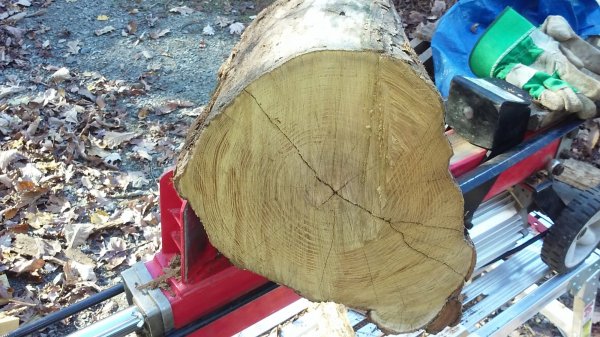 read_the_wood_1.jpg