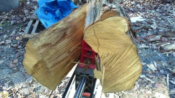 read_the_wood_2.jpg