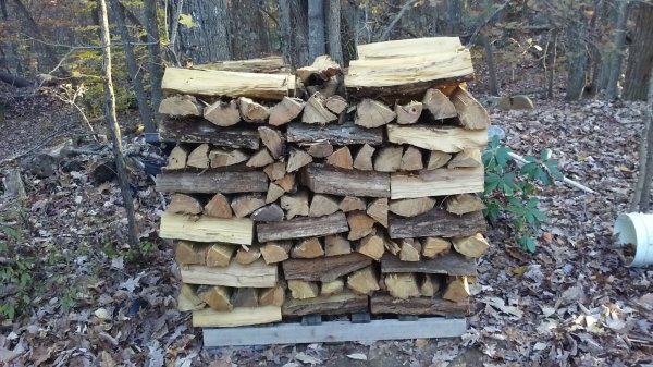 locust_on_pallet.jpg