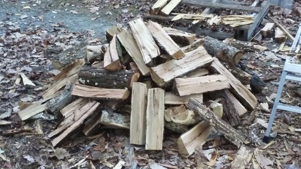 oak_split.jpg