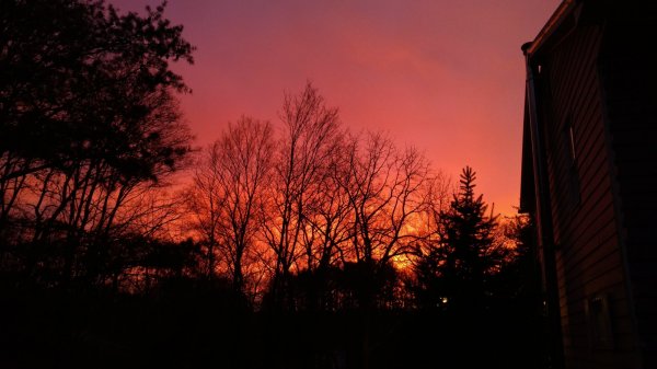 IMG_20171118_065820290-2672x1503.jpg