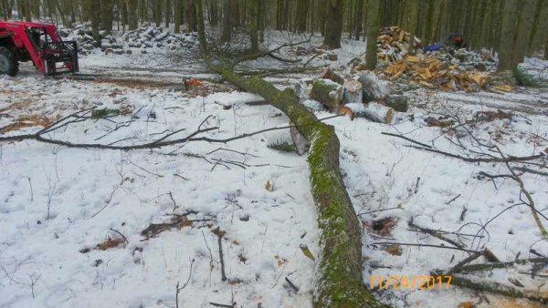 100_0683.JPG