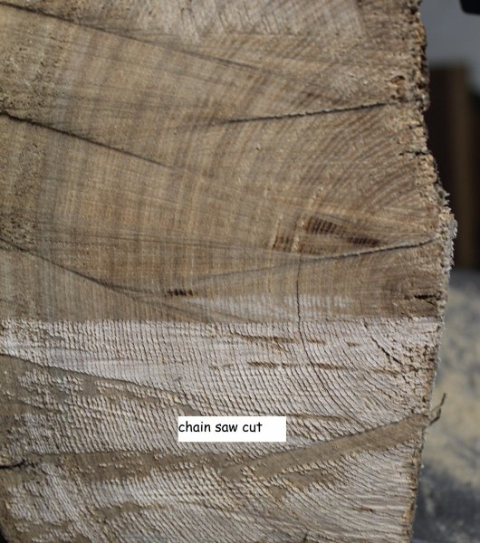 chain saw cut.JPG