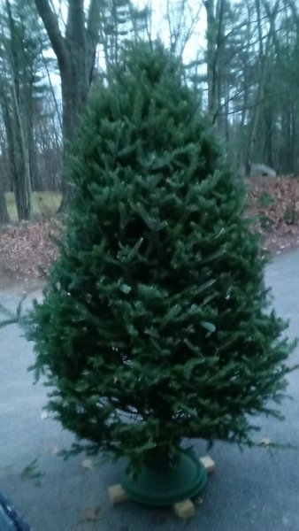20171202_161541.jpg