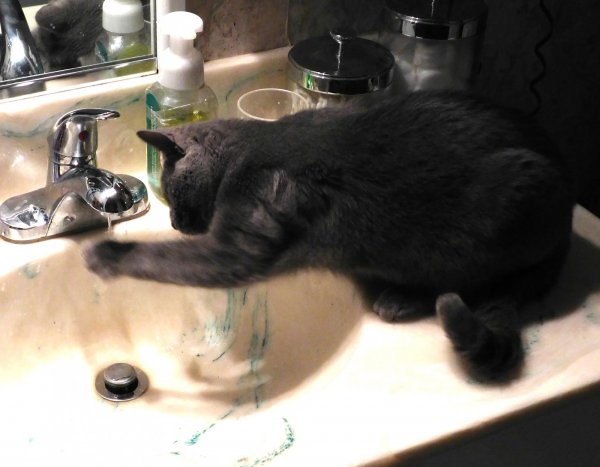 Phoebe faucet 1.JPG