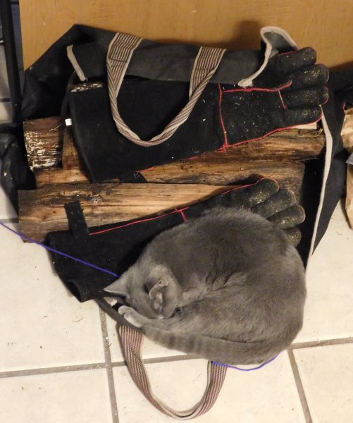 6 Dec Phoebe sleeping in wood sling.JPG