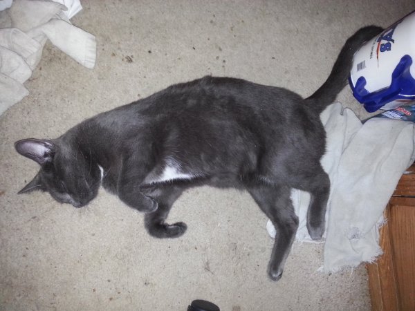 20170822_221316.jpg
