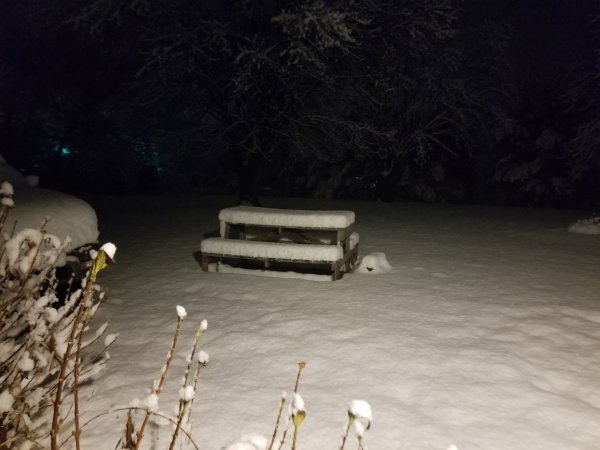 snow2017.jpg