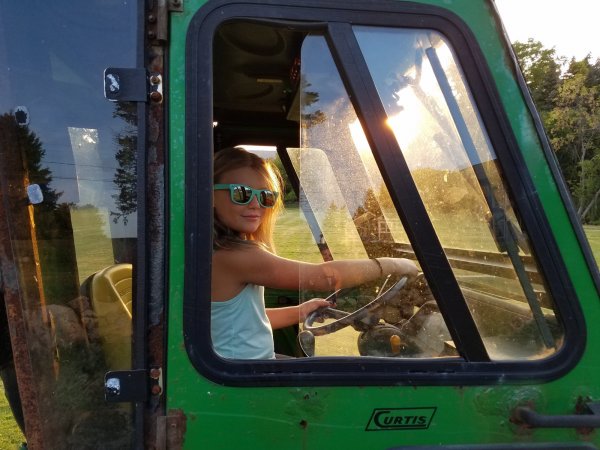 little one driving.jpg