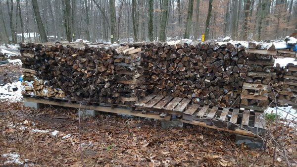 20171210_162959.jpg