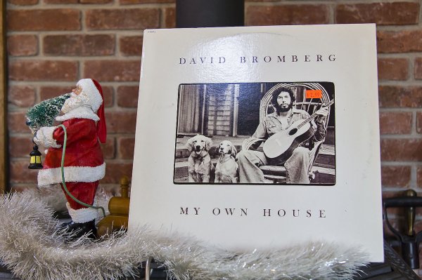 David Bromberg 1.jpg