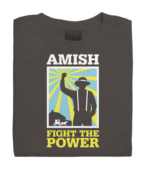 Amish_fold_sm__15336.1448384605.500.659.jpg