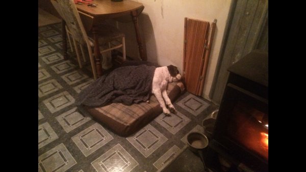 image.jpg
