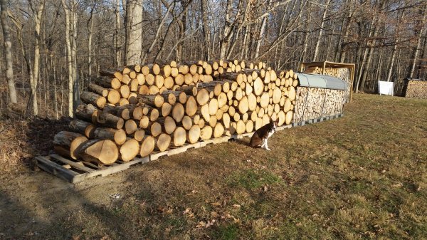 20171207_154309 25 percent.jpg