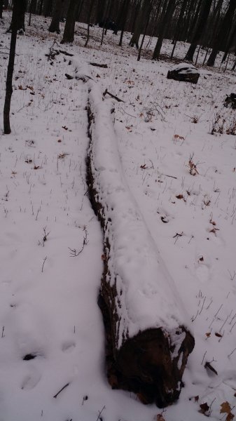 IMG_20171228_132826746.jpg