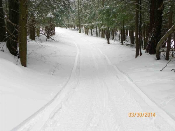 100_8806.JPG