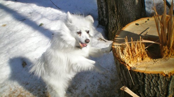 100_0008.JPG