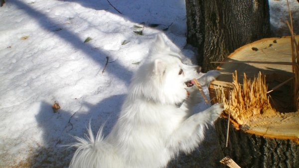 100_0006.JPG