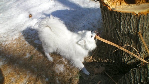 100_0012.JPG