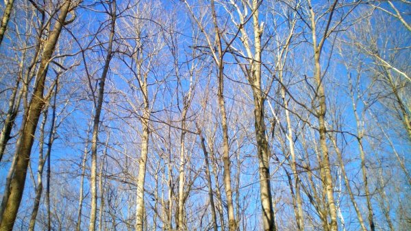 100_0002.JPG