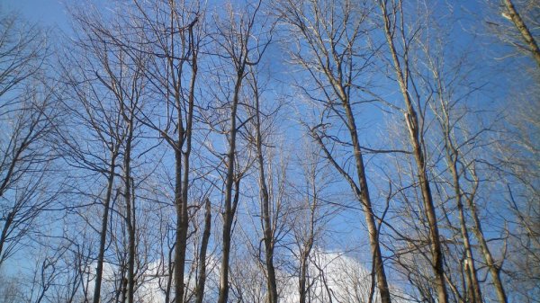 100_0003.JPG