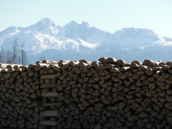DSCF2890.JPG