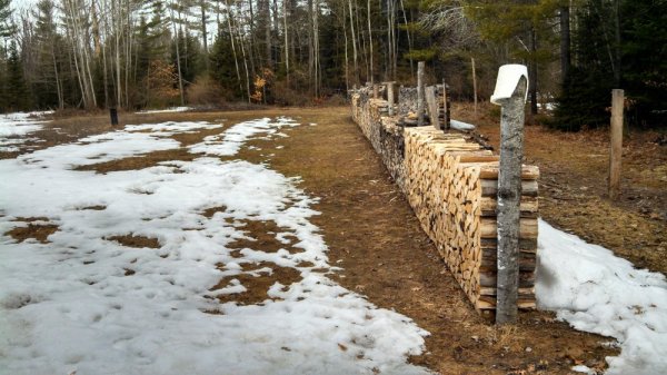 IMG_20140407_100652_008[1].jpg