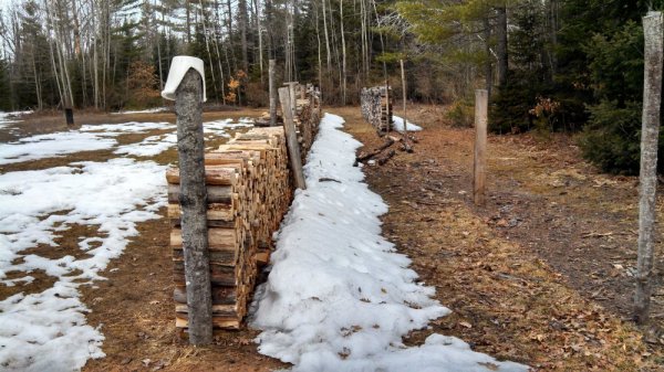 IMG_20140407_100705_456[1].jpg