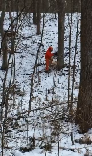 WOODCUTTING TODAY 2.png