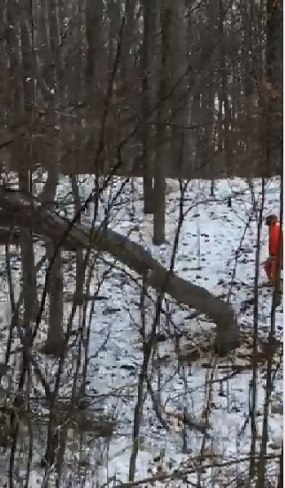 WOODCUTTING TODAY 3.png