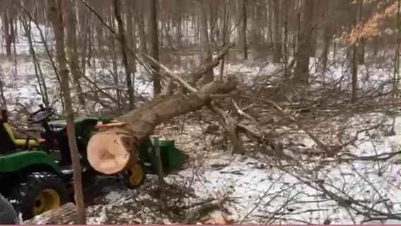 woodcutting today 5.png