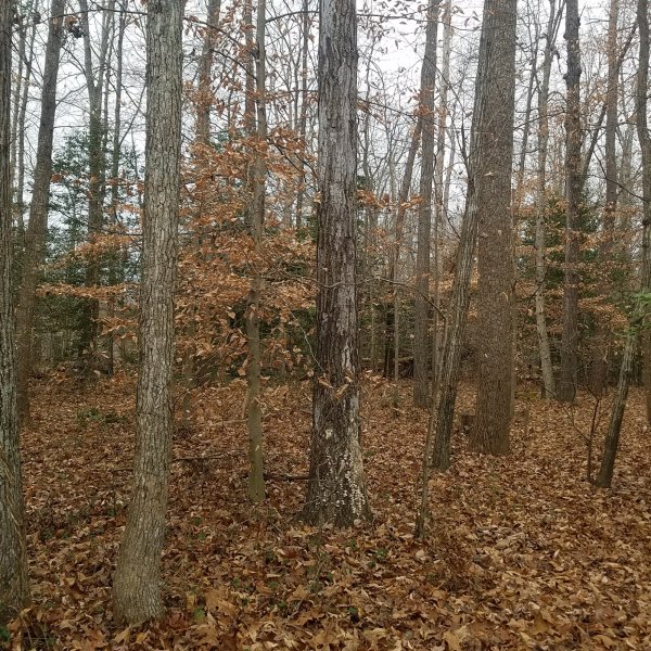 20171220_101008.jpg