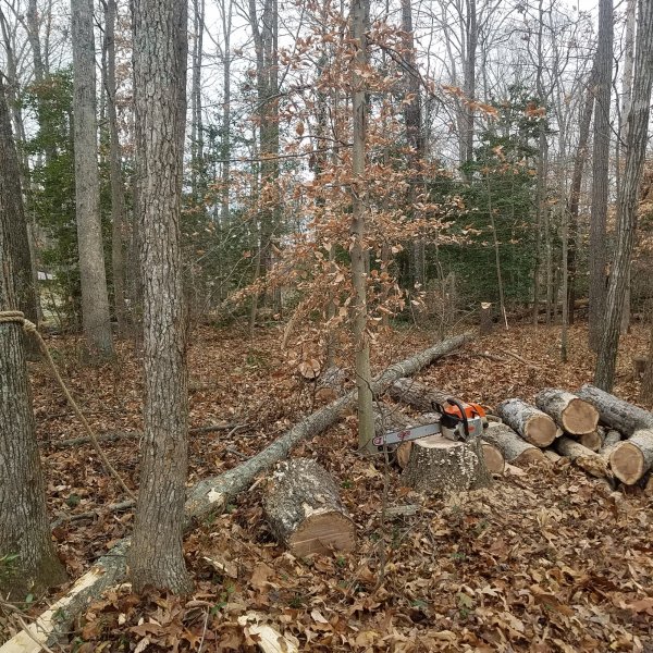 20171220_115743.jpg