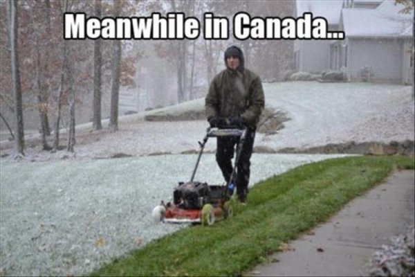 meanwhile-in-canada.jpg