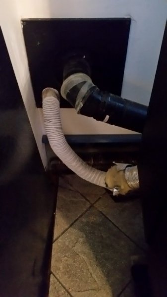 frosty oak - P43 at zero degrees.jpg