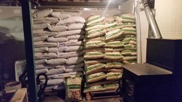 Pellets in basement start 10-6-17.jpg