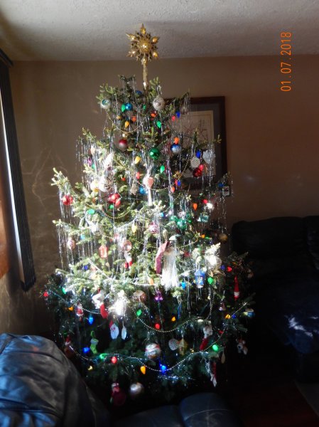 DSCN1769.JPG