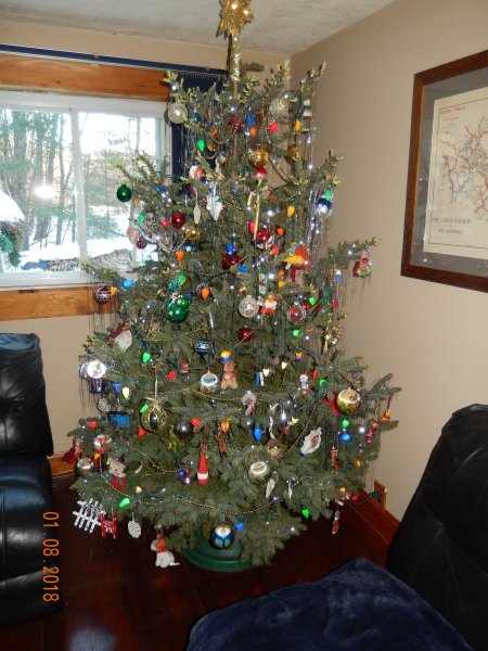 DSCN1773.JPG