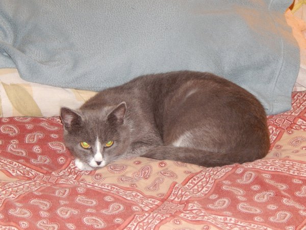 DSCN0118.JPG