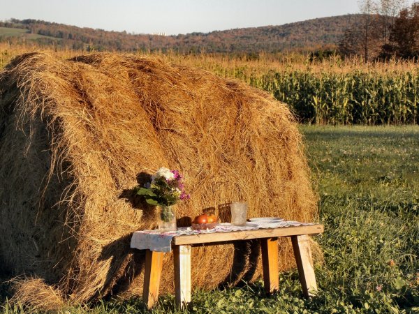 Hay Bale on a Hill.jpg