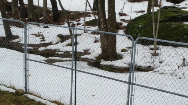 Snow melt and stream in back yard.jpg