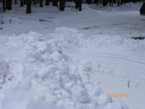 101_0091b.JPG