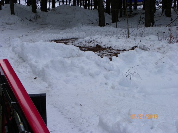 101_0092b.JPG