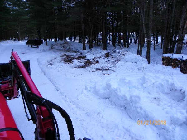 101_0093b.JPG