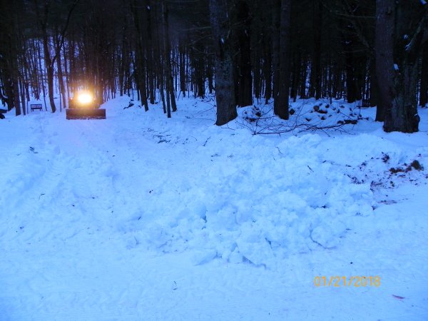 101_0094b.JPG