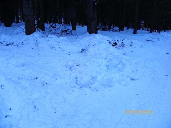 101_0095b.JPG