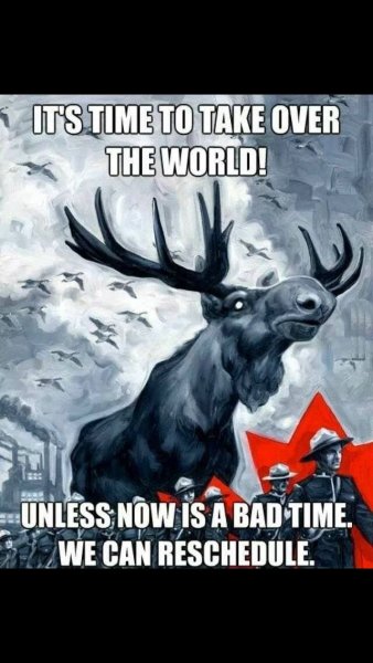 0922ca5e494da2a3c0cf538ac62f7c28--canadian-humour-canadian-memes.jpg