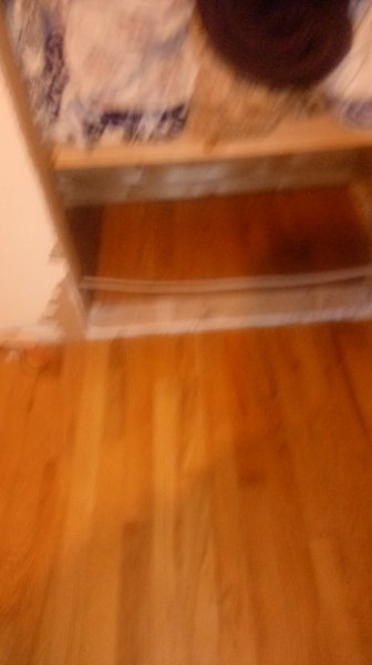 0123181726.jpg