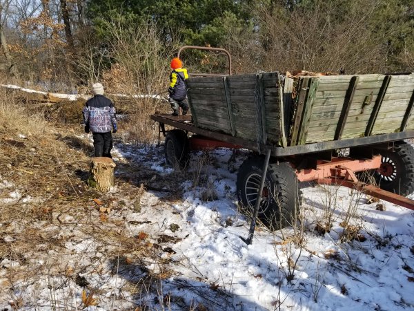 Hauling wood II.jpg